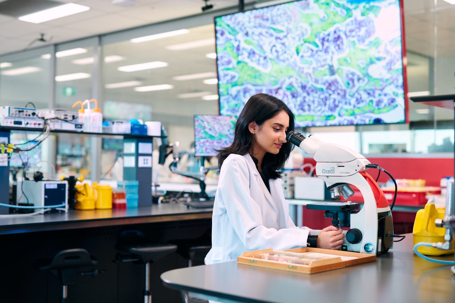An Indian-Maltese international student using microscope to examine cells at the Biomedical Lab at Monash University.