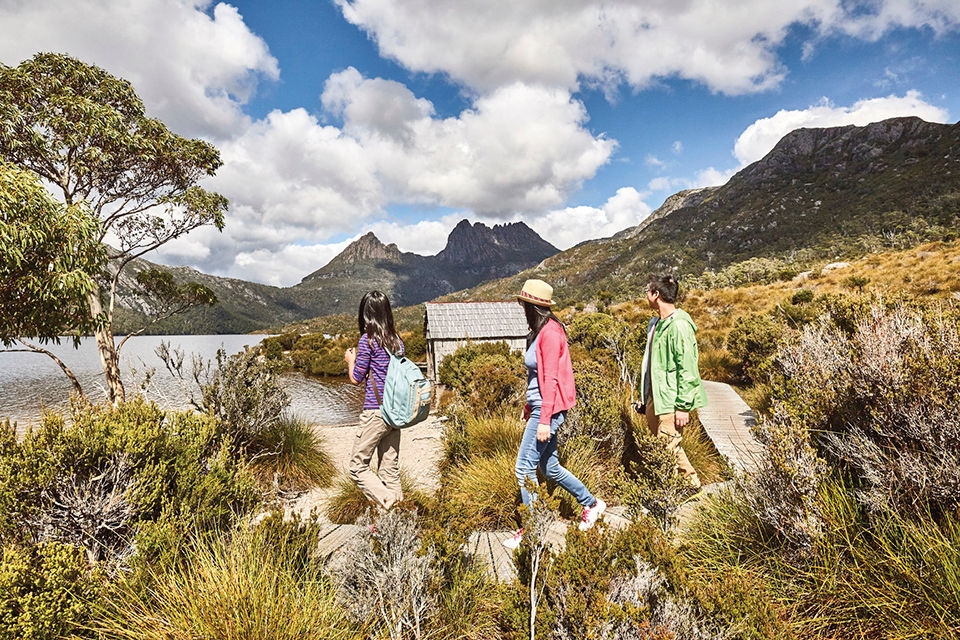 Located at the northern end of the Cradle Mountain - Lake St Clair National Park, Cradle Mountain is surrounded by smooth glacial lakes, ancient rainforest, and unusual alpine vegetation.