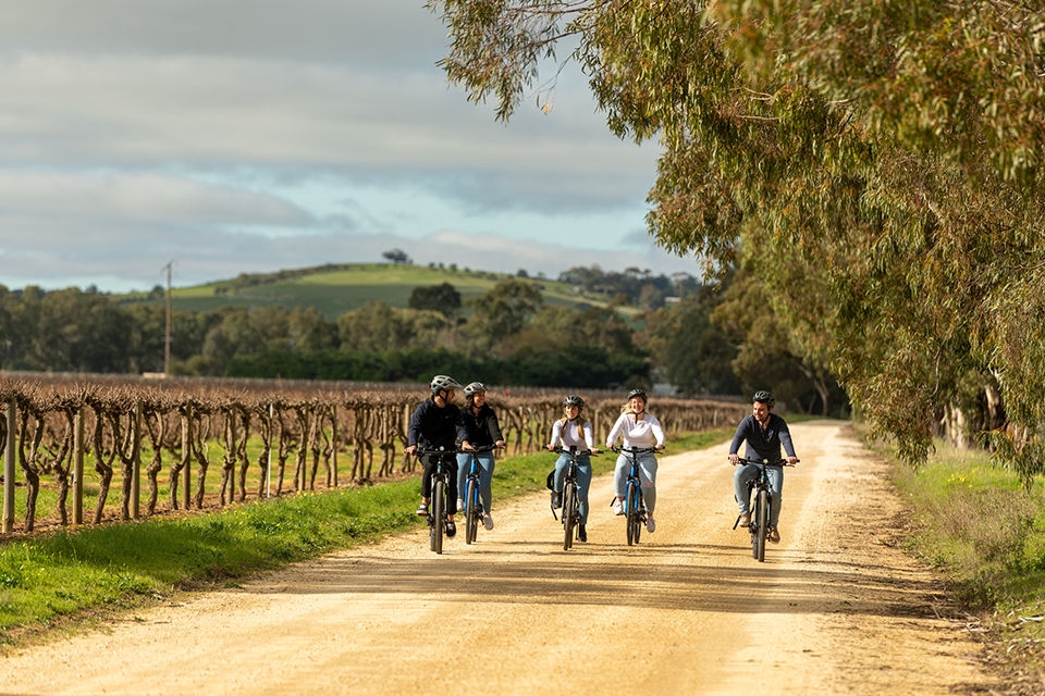 Our cycling tours offer the perfect balance of awe-inspiring destinations, sustainability & fun. Rejuvenate the body & mind on our nature tours or embrace new experiences as you sample amazing food & wine in the Adelaide Hills, Kangaroo Island, or Barossa Valley. After every tour, you will return home feeling relaxed, rejuvenated, and empowered.