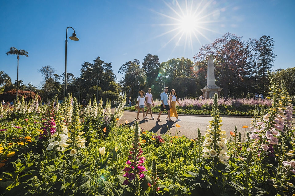 Couples looking at flowers in Queens Park