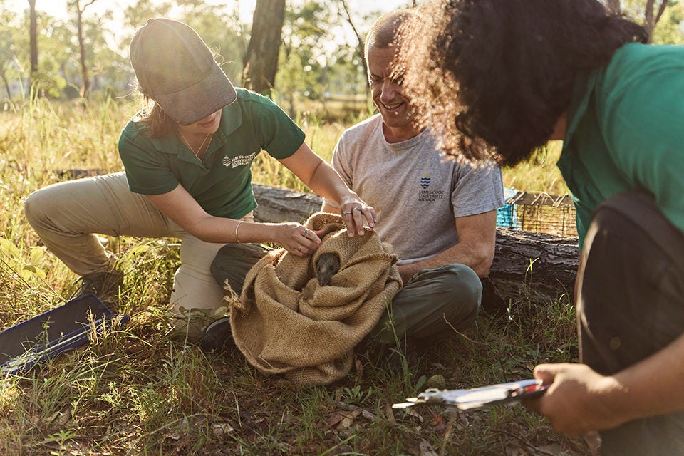 Veterinary students release animal back into bushland. 