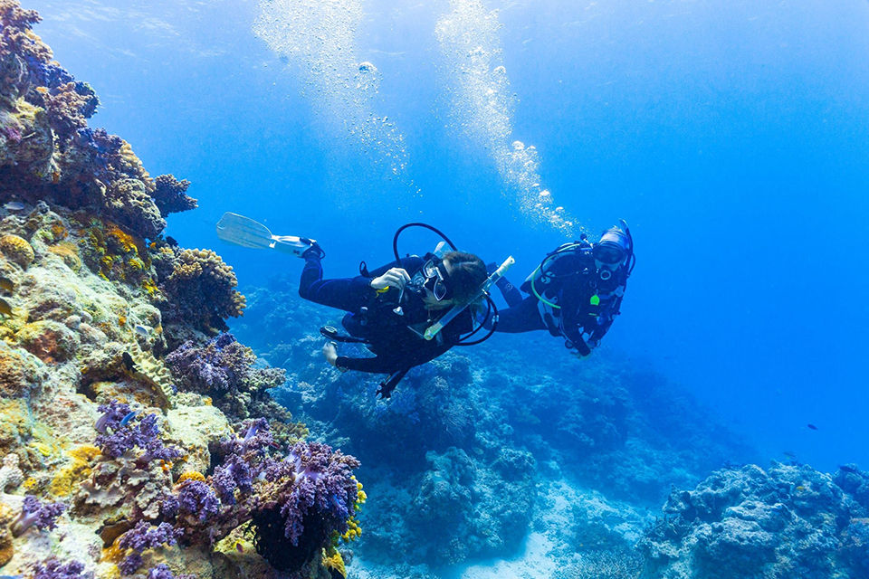 Two divers swimming past and looking at brightly coloured coral reef.