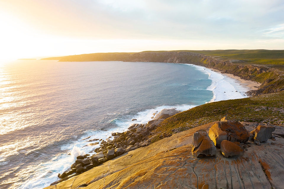 Sealink Odysseys is a tour through several island habitats and see wildlife in its natural environment. Kangaroo Island is a haven for Australian wildlife, which exists in its natural habitat without the threat of introduced predators. 