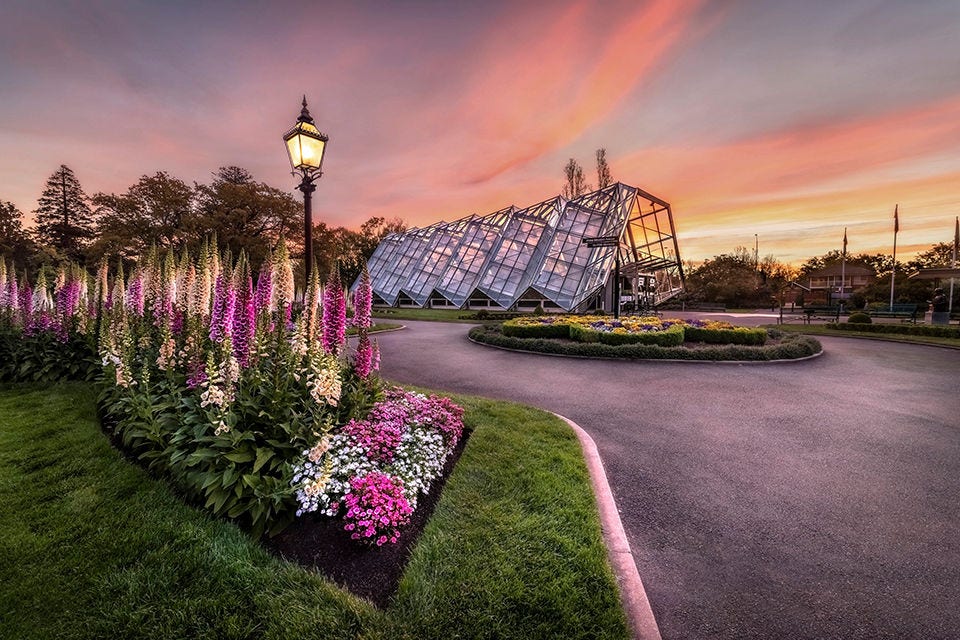 Flowers at Ballarat Botanical Gardens at sunset. Image courtesy of Visit Victoria. 