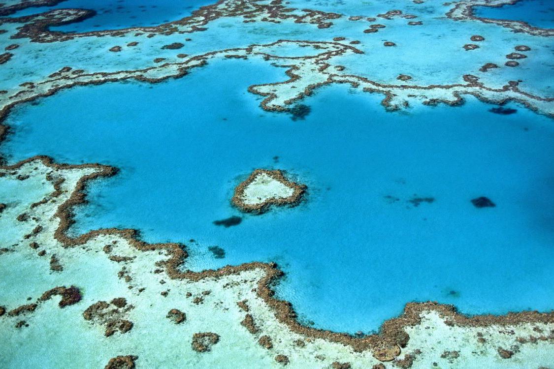 Heart-shaped coral reef, Great Barrier Reef, Queensland