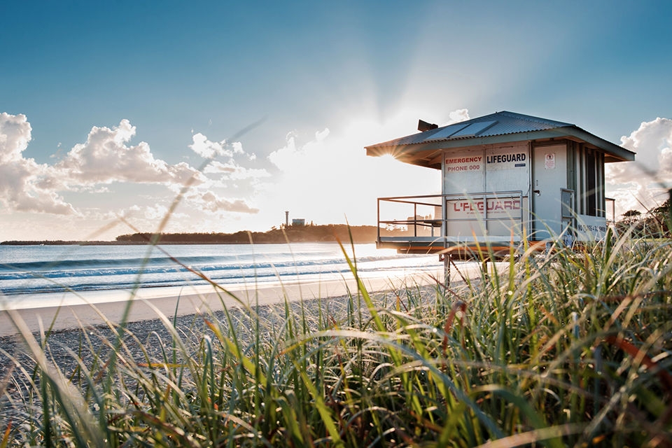 Spanner Crab Mooloolaba