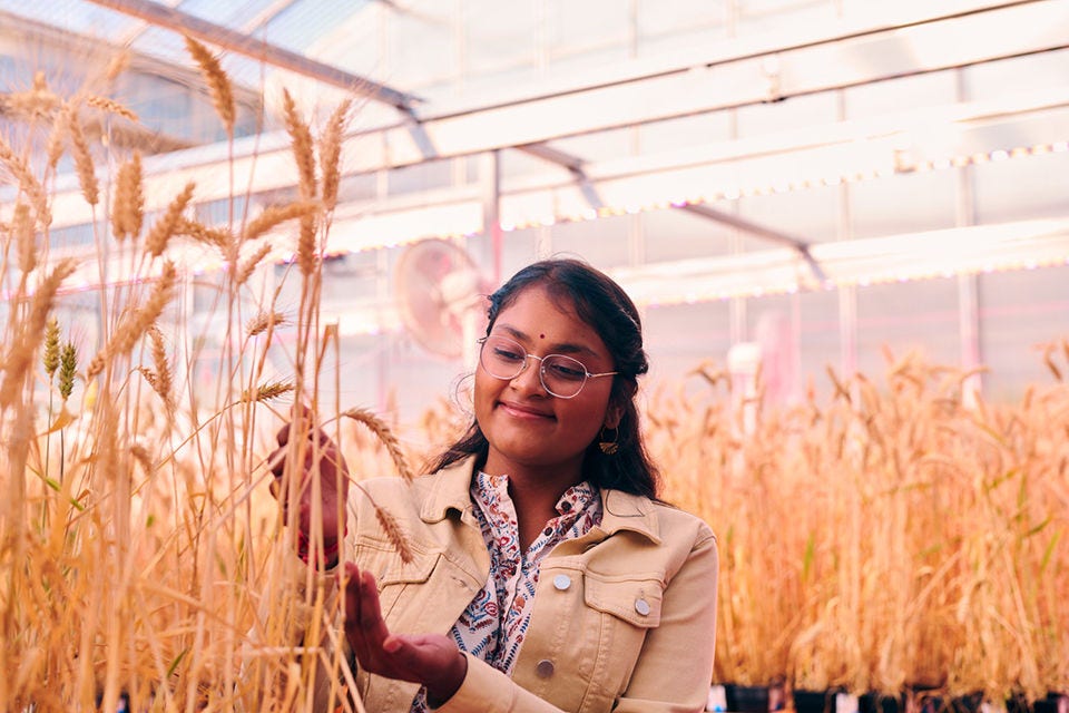 Agricultural scientist works in a greenhouse taking notes.
