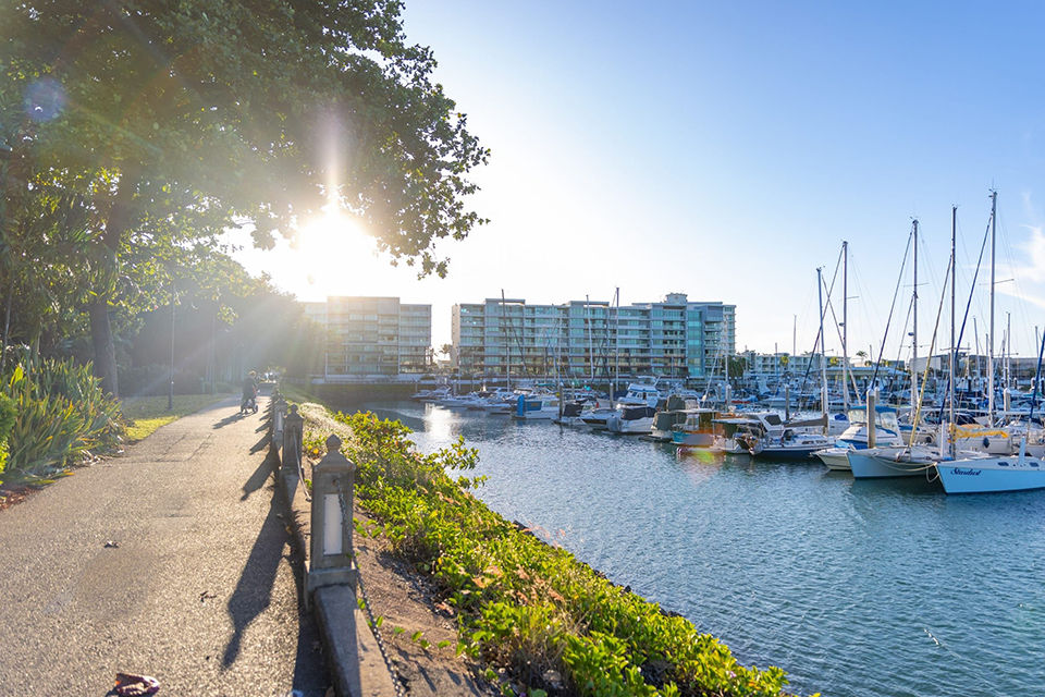 Townsville gardens with Marina in view at sunset.