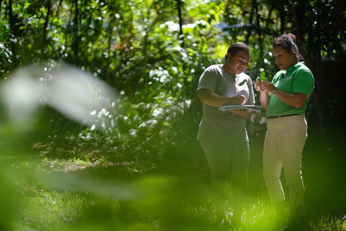 Two students conducting research in the lush Daintree Rainforest   