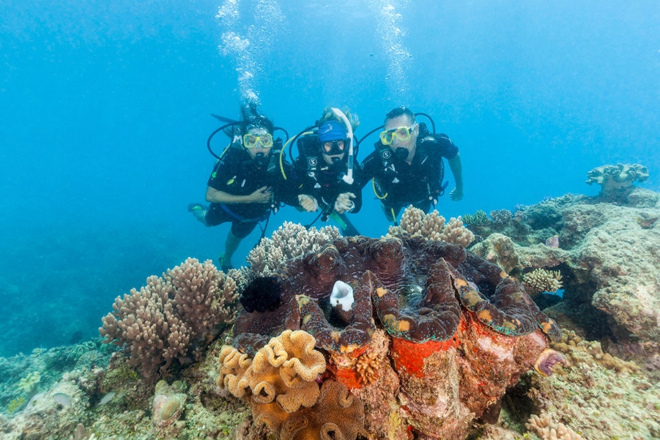 A dive instructor leads introductory divers to a giant clam 